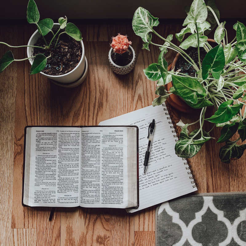 Online Study Materials